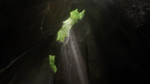 Sun shining through forest cave opening, creating lens flare Stock Footage 340848339