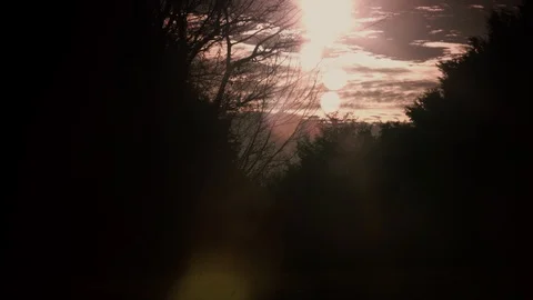 Sun shining through the forest valley Stock Footage 121221437