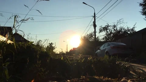 The sun shining through grass Видео 136967567