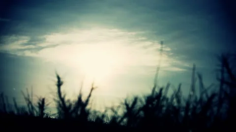 The sun is shining through the grass in  mountain. Timelapse. With filter Stock Footage 62780211