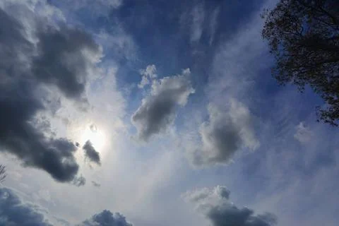  Sun shining through light cloud summer blue sky Australia Looking up at t... Stock Photos