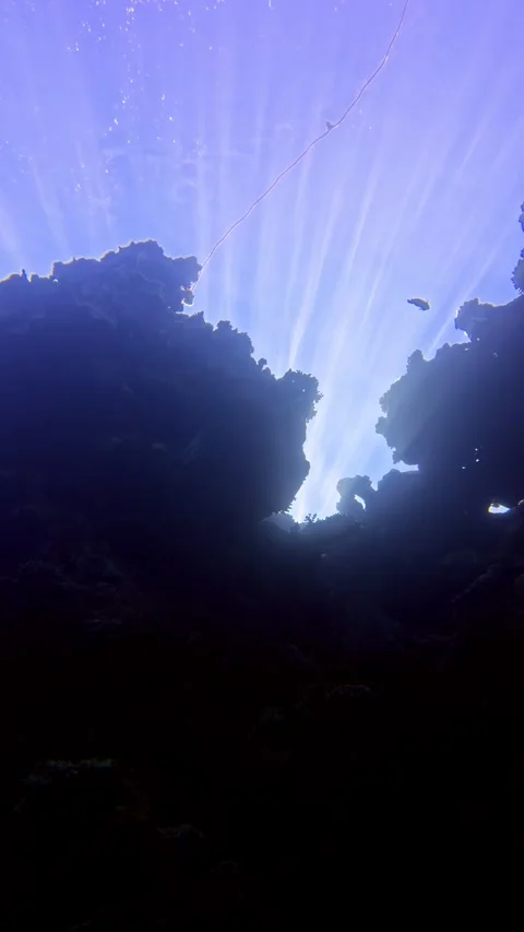 Sun shining through ocean surface creating beautiful sunbeams in the deep blue Stock Footage 346585416