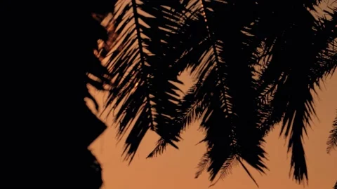 Sun shining through palm tree, coconut tree at tropical coast Stock Footage 133160079