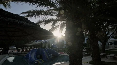 Sun shining through palm trees. Silhouettes of palms. Sunset or sunrise. Video stock 157723318
