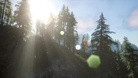 Sun Shining Through Pine Trees in Mountain Forest Stock Illustration