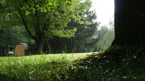 Sun shining through a suburban rainstorm in the afternoon Stock Footage 79855855