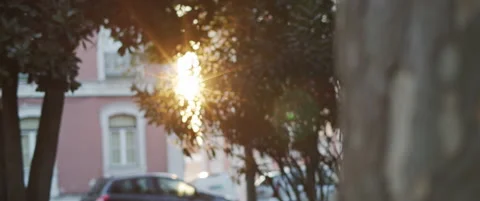 Sun shining through the tree branches Stock Footage 151395271