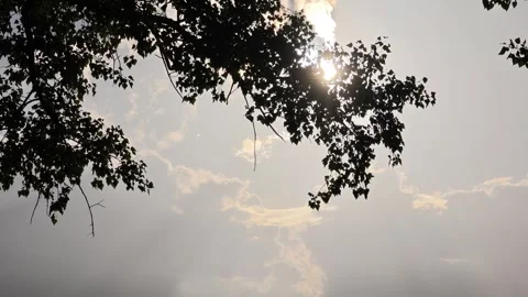 Sun shining through tree branches and clouds montage Vidéo 310309450