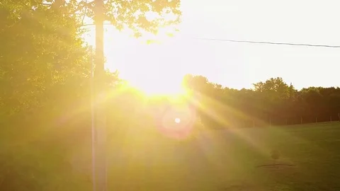 Sun shining through a tree Stock Footage 76444296