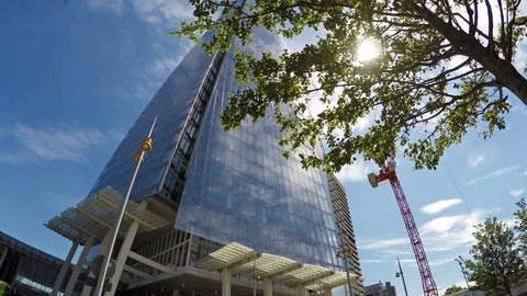Sun shining through the tree in front of The Shard in London, England Stock Footage 79505401