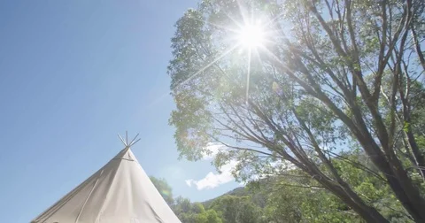 Sun shining through tree next to tipi Stock Footage 73489900