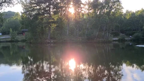 Sun shining through a tree reflecting on a pond Stock-Footage 136255286