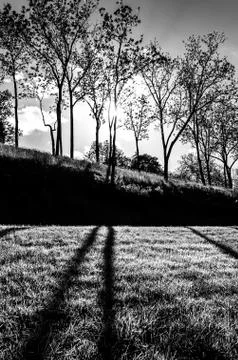 Sun shining through trees and shadows on the grass at antietam national battl Foto stock