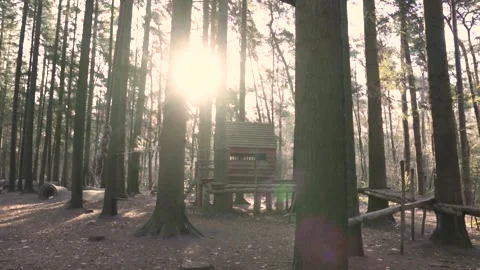 Sun shining through trees on empty playground in forest Stock Footage 293082181