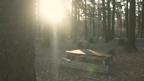 Sun shining through trees on empty picnic table Video stock 293082202