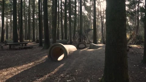 Sun shining through trees on empty playground Stock Footage 293082241