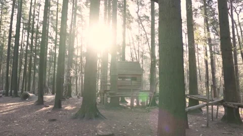 Sun shining through trees on empty playground Stock Footage 293082269