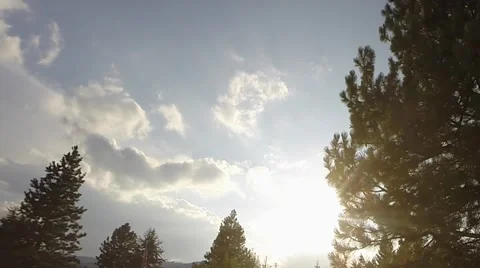 Sun shining through trees Video stock 42314019