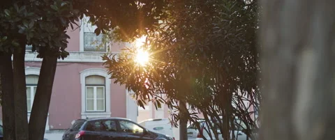 Sun shining through the trees Stock Footage 151395307