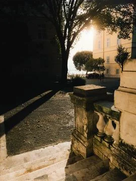 Sun shining through trees, illuminating stone stairs and railing. Warm sunlight Stock-Fotos