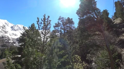 The sun shining through the trees in the mountains Stock Footage 89815857