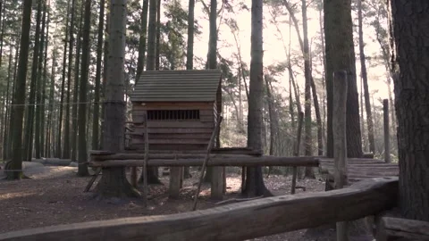 Sun shining through trees near wooden play structure Stock Footage 293082298
