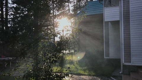 Sun shining through trees next to a housing estate 库存影片 92670128