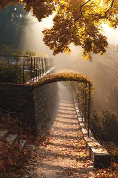 Sun shining through the trees on a path in a park in autumn in Pruhonice park Stock Photos