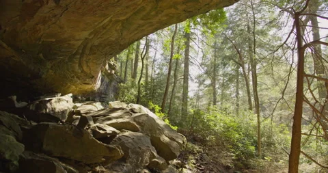 Sun Shining Through Trees Into Rockwall Cave Stock Footage 183107320