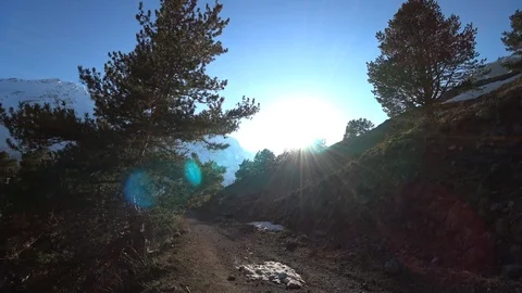 The sun shining through the trees with snowy mountains background Video stock 90492842