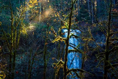 Sun Shining through trees at waterfall Foto stock