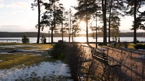 Sun shining through trees in winter park Stock Footage 297487290