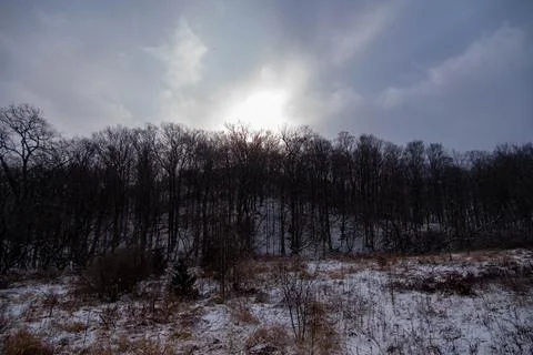 Sun shining through trees on winter day in Hamilton, Canada. Blue cloudy sky 스톡 사진
