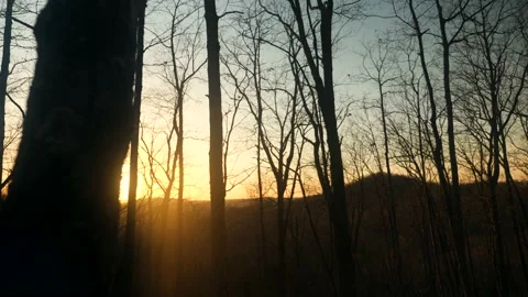 The sun is shining through the trees in the woods Stock Footage 236852605