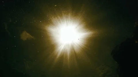 Sun shining through water and fish swimming by Stock-Footage 102591472
