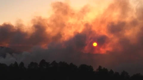 Sun shining thru heavy smoke cloud over trees Stock Footage 40954313