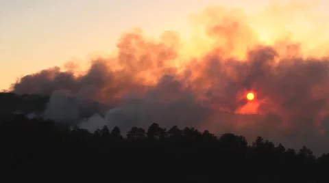 Sun shining thru heavy smoke cloud over trees Stock Footage 40955292