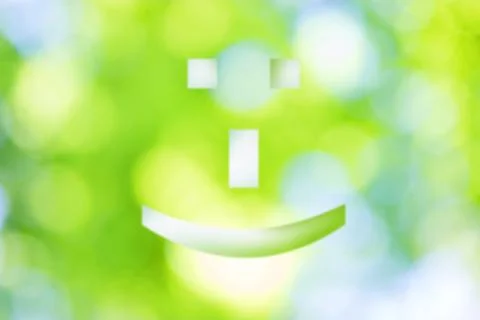 Sun shinning through the tree foliage Stock Photos