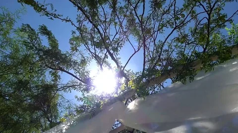 Sun shinning through trees and down on a wedding altar Stock Footage 79338359