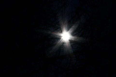 Sun shot through the trees Stock Photos