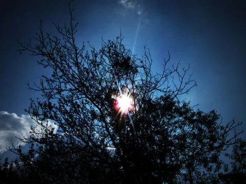 Sun silhouette Photos