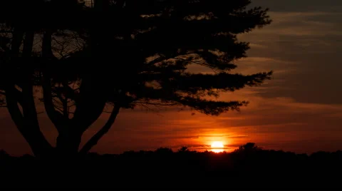 The sun sinking to the horizon with clouds moving slowly Stock Footage 40955168