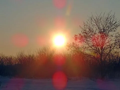 The sun in the sky in winter - landscape 库存照片