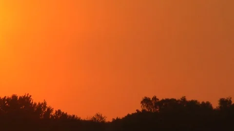 The sun slowly falls for trees and there comes evening. Time-lapse shooting. Видео 69998560