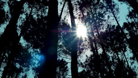 Sun sneaking Video stock 197099587