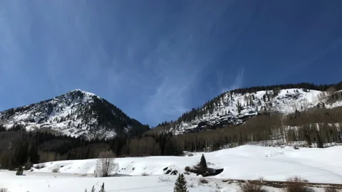 Sun Snow distant Pine Tree Stock Footage 156940723