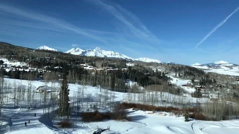 Sun Snow Lots of Pine Tree Stock Footage 156940868