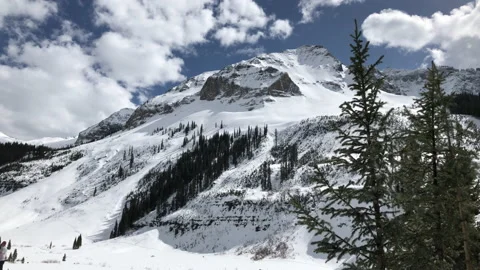 Sun Snow Pine Tree Big Mountain Stock Footage 156940901