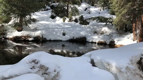 Sun Snow Pine Tree Brook Stock Footage 156940995