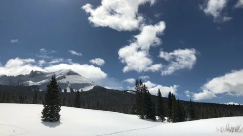 Sun Snow Pine Tree Clouds Video stock 156941023